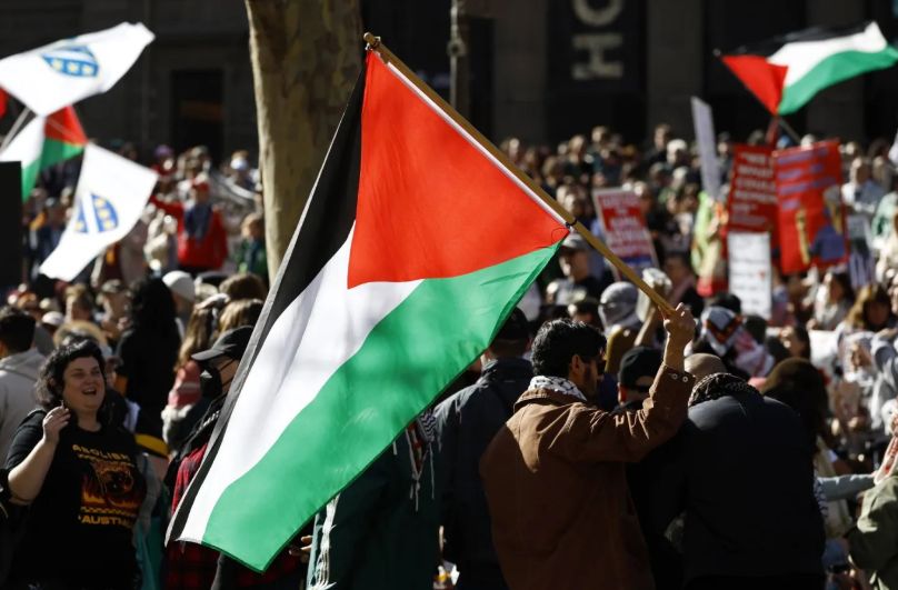 علم فلسطين علم فلسطين