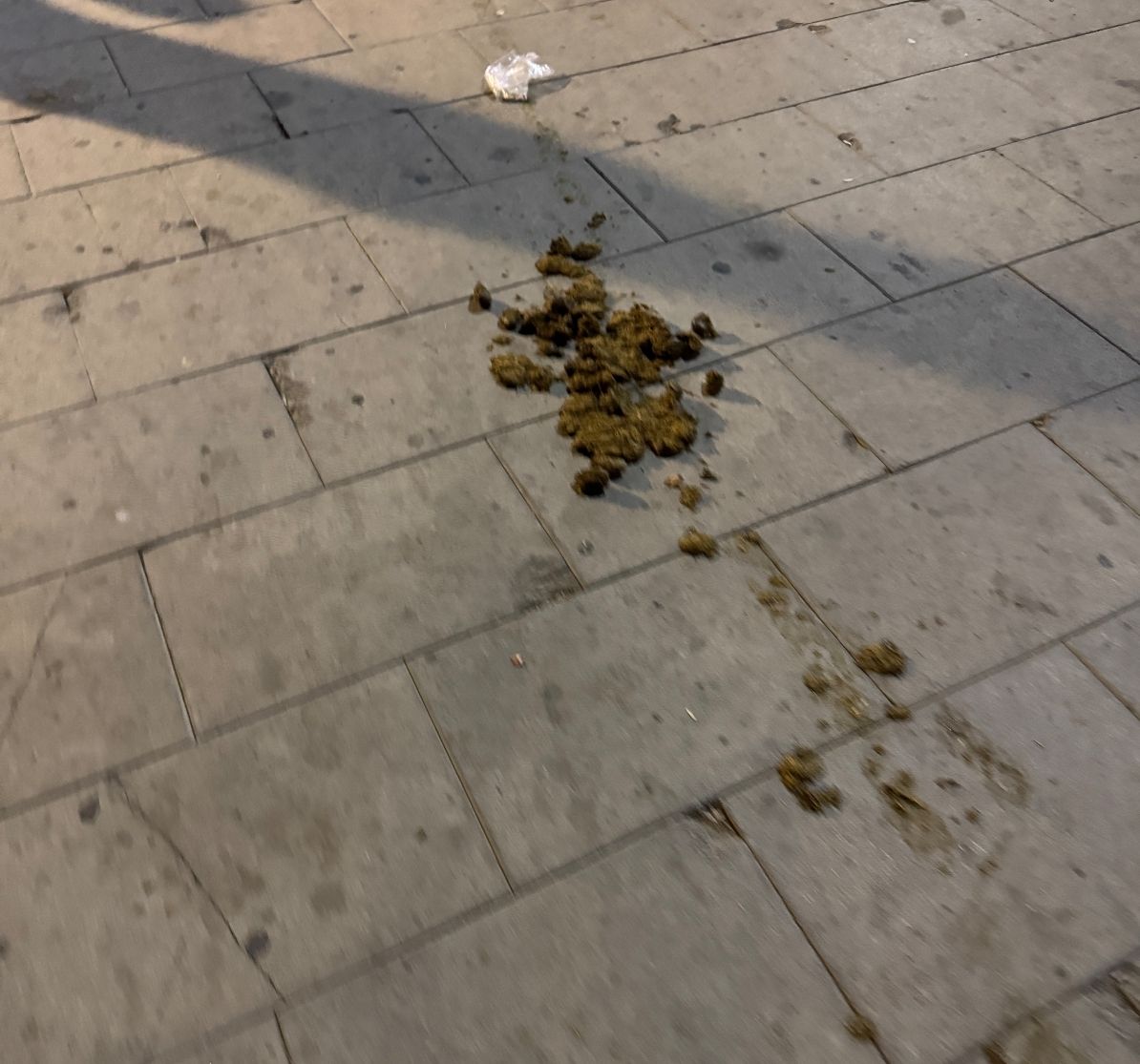 abd7a56f18.jpg