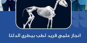 الهيكل العظمي الناطق للحصان.. نقلة نوعية بالتعليم البيطري في جامعة الدلتا