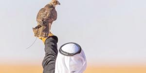 «عام الحرف».. يحلّق بالصقّارين