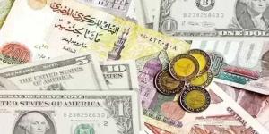 الدولار يسجل 50.74 جنيه للشراء.. أسعار العملات الأجنبية اليوم الخميس