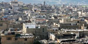 لجان خدمات المخيمات الفلسطينية تستنكر محاولة التشكيك بدور الأردن