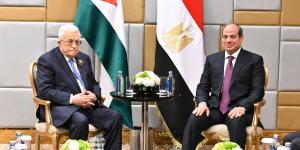 الرئيس السيسي يؤكد دعم مصر الكامل للقضية الفلسطينية وإدخال المساعدات لأهالي غزة