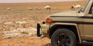 ضبط مواطن خالف نظام البيئة بالرعي في موقع محظور