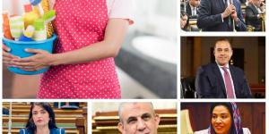 البرلمان يترقب تقدم الحكومة.. بمشروع قانون العمالة المنزلية