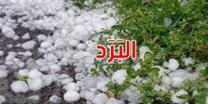 القصرين: البَرَد يلحق أضرارا متفاوتة بالزراعات الكبرى والزياتين والأشجار المثمرة