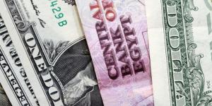 سعر الدولار في بداية تعاملات البنوك المصرية اليوم الإثنين 12 مايو 2025