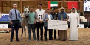 كأس الإمارات العالمي لجمال الخيل تواصل منافساتها في المغرب