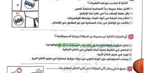 مراجعة ليلة الامتحان تحميل مذكرة الاحياء لـ الثانوية العامة 2025