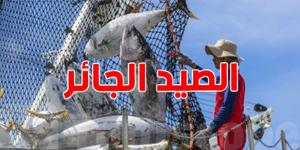 تحذيرات من إبادة الحياة البحرية في تونس: الصيد الجائر يهدد التنوع البيولوجي