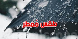 اليوم: تواصل أمطار مؤقتا رعدية ومحليا غزيرة