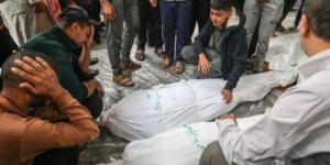 87 شهيداً و290 جريحاً في قطاع غزة خلال 24 ساعة
