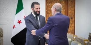 الصفدي ينقل رسالة من الملك إلى الشرع تؤكد وقوف الأردن إلى جانب سوريا