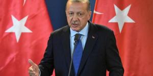 أردوغان: تركيا ستتخذ خطوات لترتيب لقاء بين بوتين وزيلينسكي