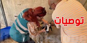 تحذير من وزارة الفلاحة: حرارة الصيف تهدد أضاحي العيد وهذه هي الحلول