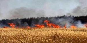 عاجل/ رئيس لجنة الفلاحة بالبرلمان: "حرائق الحبوب في تيبار غير بريئة"