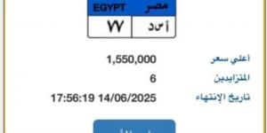 "أسد - 77".. أحدث لوحة سيارة مميزة مطروحة بالمزاد قيمتها تتخطى 1.5 مليون جنيه