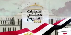 تحالفات القائمة تتصدر المشهد.. كيف تُشكل انتخابات مجلس الشيوخ الخريطة السياسية في مصر؟