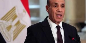 وزير الخارجية: مصالح المصريين بالخارج أولوية قصوى للدولة