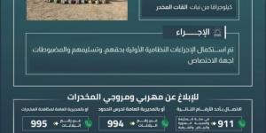 القبض على (10) مخالفين لتهريبهم (90) كلجم من القات المخدر