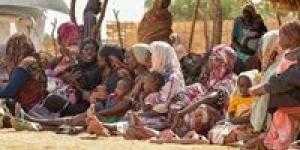 المديرة الإقليمية لصندوق الأمم المتحدة للسكان للدول العربية: تفاقم الأزمة الإنسانية في شمال دارفور