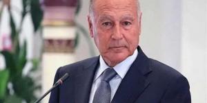 أبو الغيط: حصرية السلاح بيد الدولة سبيل لتحقيق الاستقرار في لبنان