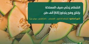 الشمّام يُحلّي صيف المملكة بإنتاج وفير يتجاوز (63) ألف طن سنويًا