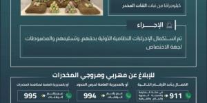 القبض على (6) مخالفين لتهريبهم (120) كيلوجرامًا من القات المخدر