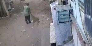 استجابة لمناشدة أسرته.. محافظ الشرقية يوفر عقد عمل لنجل عامل النظافة المتوفى بالشرقية ليخلف والده