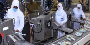 أرباح "المنجم" تهبط 51.4% بالربع الثاني من 2025