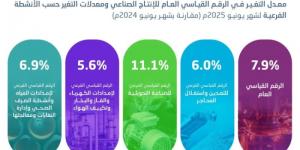 الإحصاء: ارتفاع الرقم القياسي للإنتاج الصناعي بنسبة 7.9% خلال شهر يونيو 2025