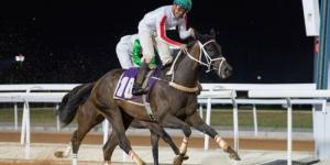فالة خير تظفر بكأس الهدا في سباقات الخيل بالطائف