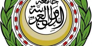 الجامعة العربية: غدًا دورة غير عادية لمناقشة جرائم الاحتلال