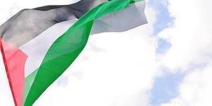 أستراليا ونيوزيلندا تعتزمان الاعتراف بدولة فلسطين خلال اجتماعات الأمم المتحدة المقبلة