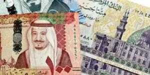 سعر الريال السعودي اليوم الإثنين 11 أغسطس 2025 