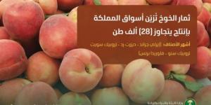 ثمار الخوخ تُزيّن أسواق المملكة وإنتاجها المحلي يتجاوز 28 ألف طن