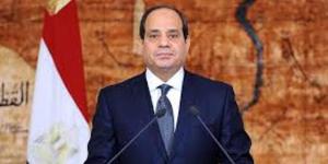 الرئيس السيسي: مصر تعوّل علي جهود اللجنة السباعية للتوصل الي توافق بين دول حوض النيل