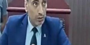 السجن المشدد 15 عاماً لأب ونجله شرعا في قتل شاب بشبرا الخيمة