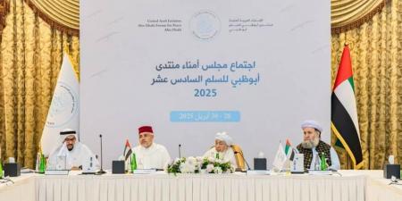 ابن بيّه: العالم بحاجة لجهود مخلصة ترعى السلام