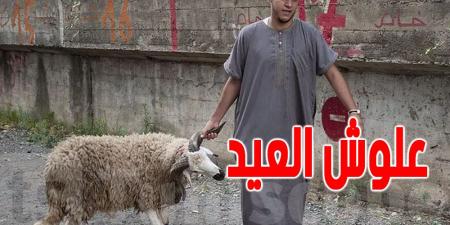 علوش العيد : اتحاد الفلاحة يطمئن... والقصّابون يحذرون