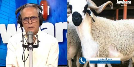 اتحاد الفلاحة: أضاحي العيد متوفرة والأسعار ستُحدد لاحقًا وفق العرض والطلب