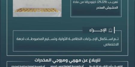 حرس الحدود بتبوك يحبط تهريب (29,229) كيلوجرامًا من الحشيش المخدر