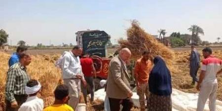 الإصلاح الزراعي يتابع حصاد القمح بالمحافظات