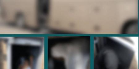 ضبط مقيم حاول إيصال (4) وافدات إلى مكة دون تصريح
