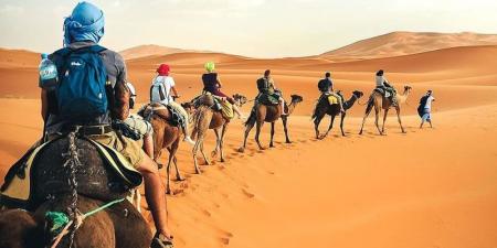 تطوير السياحة الداخلية