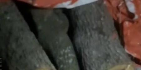 غرامات تصل لـ100 ألف دينار  ..  القبض على مطلوب خطير في عجلون ومصادرة طن من الأحطاب بحوزته  ..  فيديو