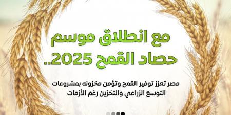 إعلام الوزراء: 3.1 مليون فدان قمح وأصناف جديدة عالية الإنتاجية ودعم غير مسبوق للمزارعين في موسم توريد 2025