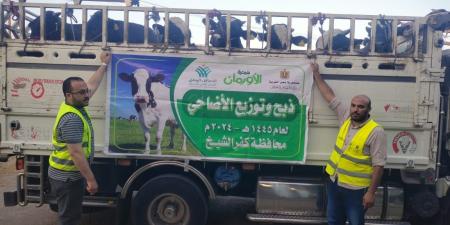 50 ألف كيلو لحوم أضاحى و75 عجلا بلديا للاولى بالرعاية بكفر الشيخ