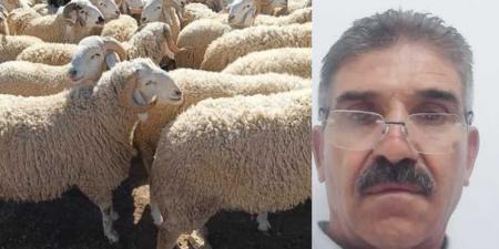 القيروان ...رئيس اتحاد الفلاحين.. الأضاحي متوفّرة... وهذه أسعارها