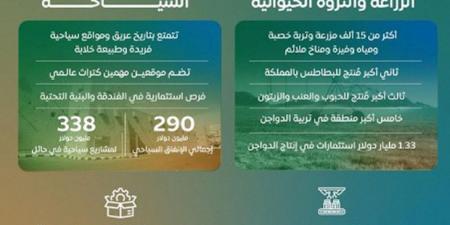 غرفة حائل تُكثّف تجهيزاتها لإقامة منتدى حائل للاستثمار 2025م